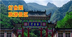 鸡巴插入骚逼里夹住视频